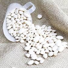 imagem de Fava branca-500-gr