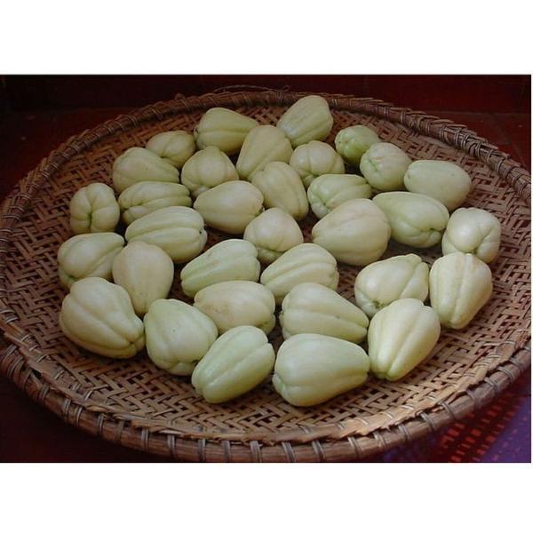 imagem de Mini Chuchu Branco - sem agrotóxicos - Quilo