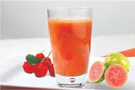 imagem de Polpa de Acerola com Goiaba Vermelha - sem agrotóxico  - Caseiro  - 300 ml