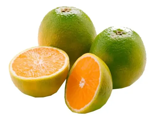 imagem de LARANJA CAMPISTA - KG